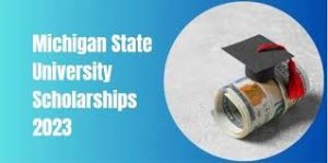 Michigan State University Scholarship 2024